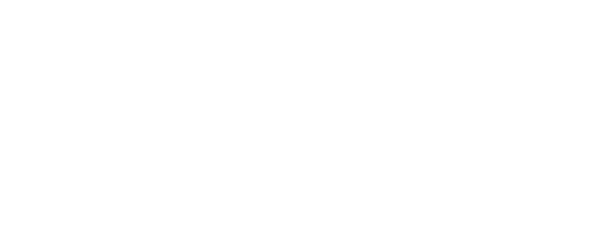 Singapore Airlines